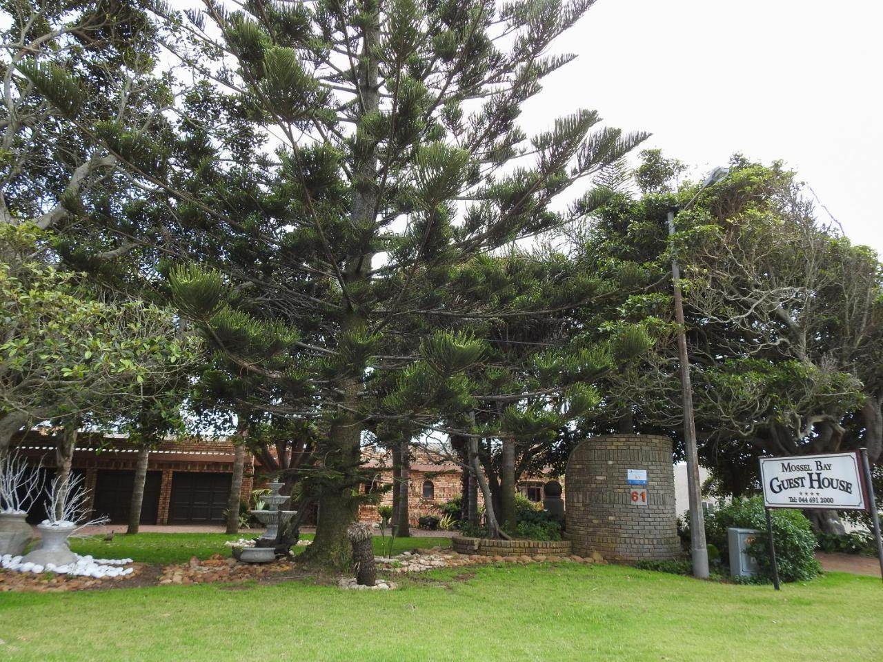 Mossel Bay Guest House Eksteriør bilde